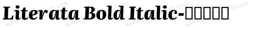 Literata Bold Italic字体转换